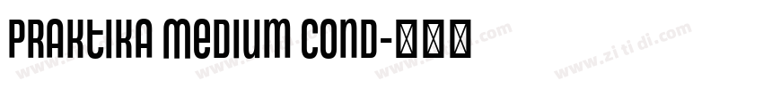 Praktika Medium Cond字体转换